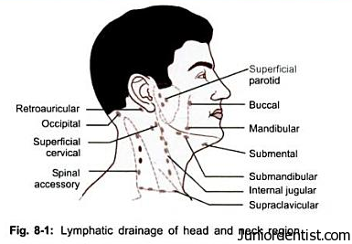 Lymphatic Drainage of Head and Neck Region