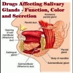 Drugs acting on Salivary Glands
