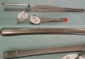 Russian Tissue holding forceps