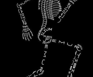 Bones of Body - easy to remember