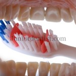 Common mistakes while Tooth Brushing