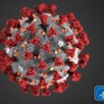 How is coronavirus spread