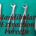 Mandibular Extraction Forceps